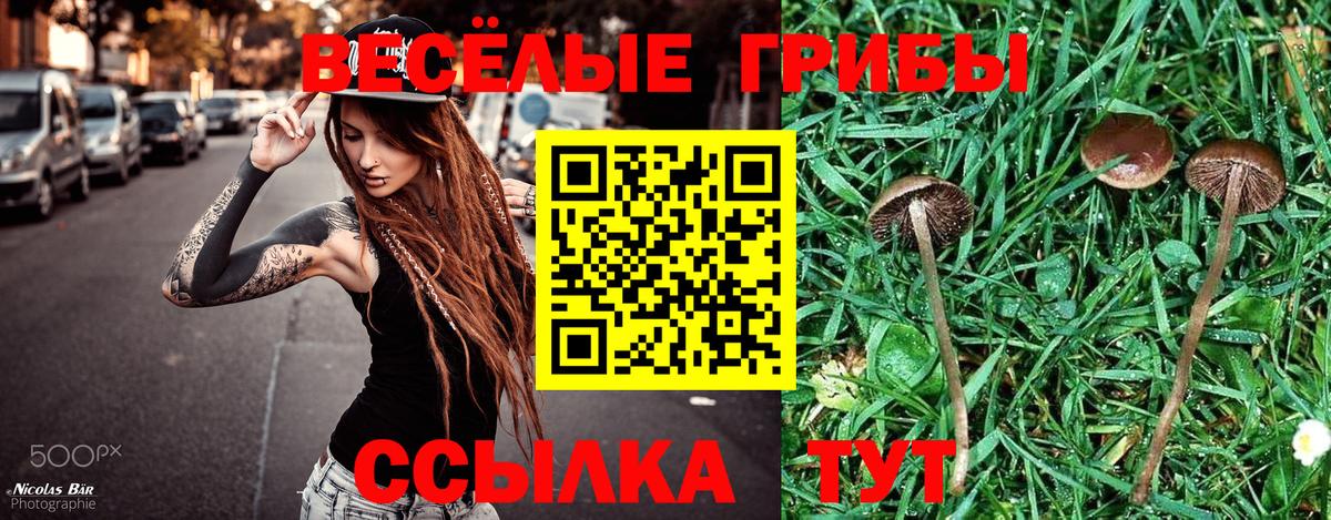 Псилоцибиновые грибы Psilocybine cubensis Пыть-Ях