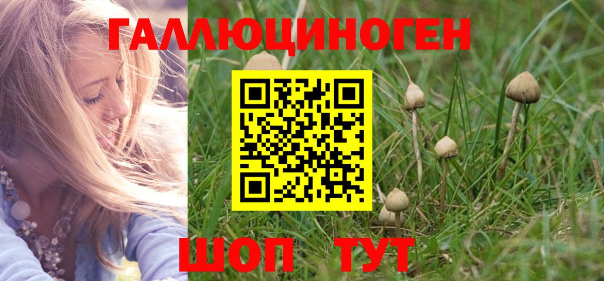 Псилоцибиновые грибы MAGIC MUSHROOMS  Псилоцибиновые грибы Magic Shrooms  Вход с VPN  Пыть-Ях 